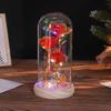 Three glass cover rose ornament creative Christmas Valentine's Day gift immortal flower gold foil night light