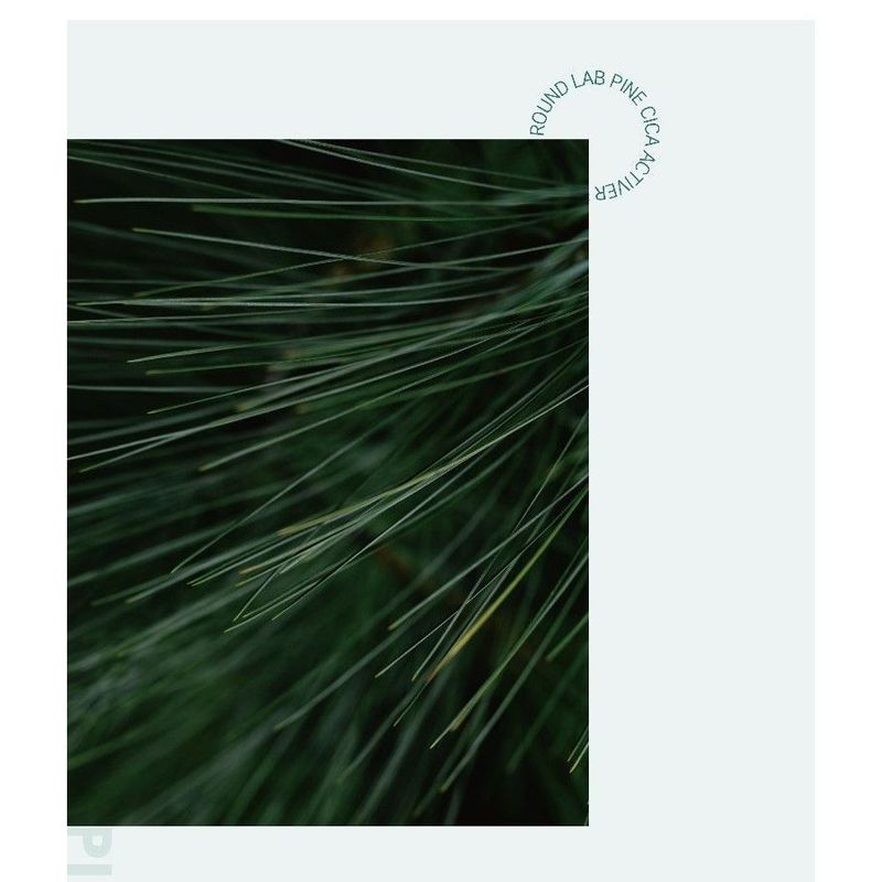 ROUND LAB Pine Calming Cica Ampoule
