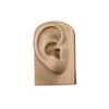 Tools Body for Hearing Teaching Simulation Ear Jewelry Earrings Display Silicone Ear Model Fake Ear