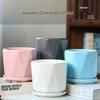 Elegant White Ceramic Flower Pot with Tray - Ideal for Ivy, Spider Plants, and Succulents