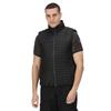 Regatta Mens Honestly Made Insulated Recycled Gilet