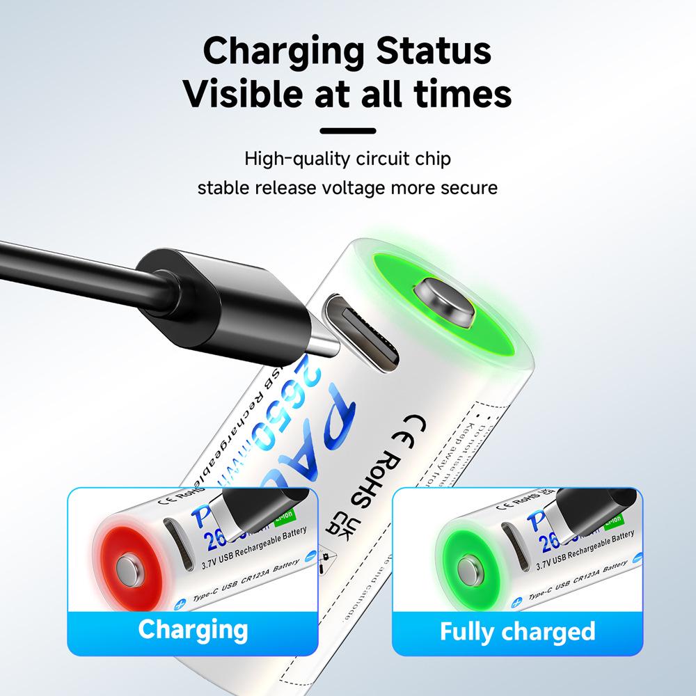 PALO Type-C Rechargeable CR123A 3.7V 16340 Lithium Battery for Fuji Instax mini25