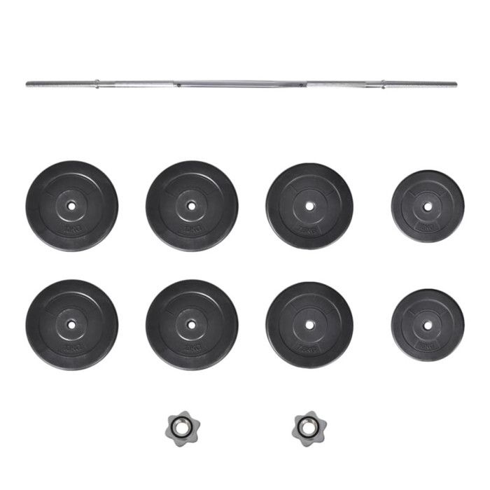 VidaXL Haltère Curl avec Poids Disques à Revêtement Plastique Gymnase Sport 90372