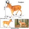 Wild Safari Animal Figurines: Giraffe, Elephant, Rhinoceros, Brown Bear, Tiger, Lion, Leopard, Hippopotamus - Solid Cognitive Toys