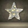Luminous star 20 LED 30 cm