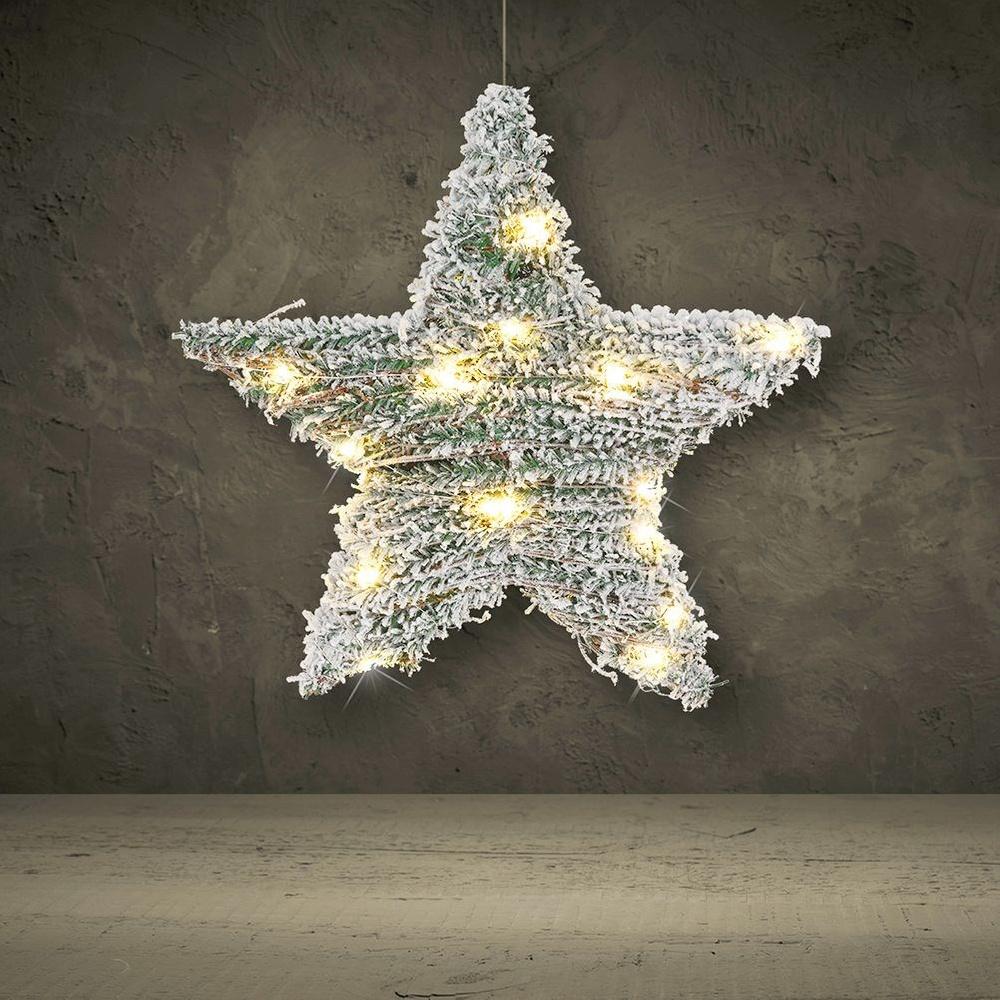 Luminous star 20 LED 30 cm