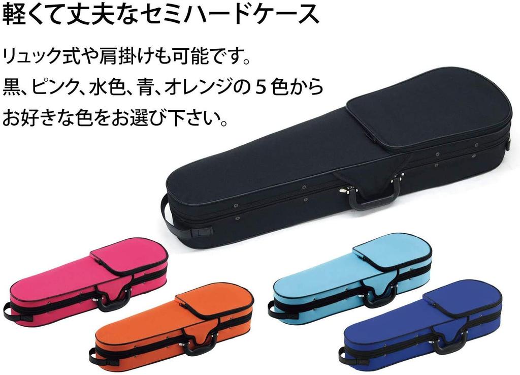 Carlo Giordano Violin Outfit VS-2 1/8