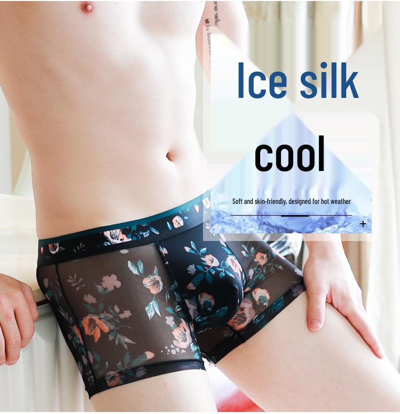 Summer Mesh Men's Boxer Briefs - Breathable, Transparent Mid-Rise Shorts