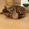 Cat Scratching Ball Toy Bite-resistant Kitten Interactive Chew Toys Funny Cat Scratcher Pet Supplies