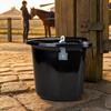 Stable Feed Container Wall-Mounted Stall Compact