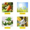 1Pc Pruning Pliers Fruit Trees Grass Brush Gardening Grafting Tools Agricultural Pruning Shears