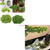 Artificial Decorative Moss for Christmas Terrariums Decorations Potted Plant , Fake Grass for Centerpieces HX6C