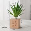 Modern Nordic Style Artificial Plant Desktop Ornament