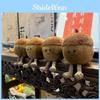 Hazelnuts Acorns Jc Plush Toys Stuffed Doll With Short Pile Decoration Fabric