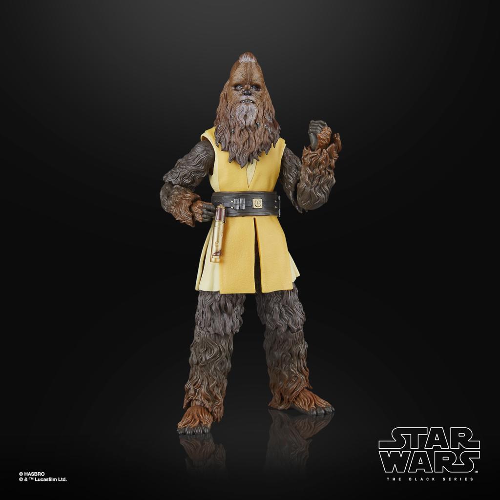 Hasbro Star Wars Black Series Jedi Master Kernakker, Star Wars: Acolyte Deluxe Collection 15cm Action Figure G0655, Authentic