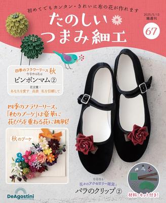 Fun Tsumami Zaiku 67 No. [Encyclopedia] (with Kit)