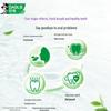 Darlie Tea Protect Thyme Longjing Herbal Gum Care Toothpaste