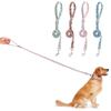 Dog Leashes Idyllic Flower Pet Leashes Puppy Medium Dog Leash Lead Rope for Cat Small Pet Harness