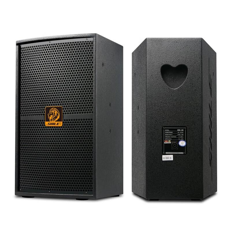 SHILE S62 Professional Conference & Stage Audio System