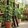 Ventilate Climbing Plant Stand Plastic Potted Plant Holder Plant Support Bracket Indoor Plant Use