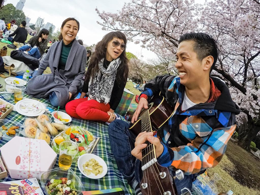 Jaws Flex Clamp Mount [Official GoPro] ACMPM-001 []