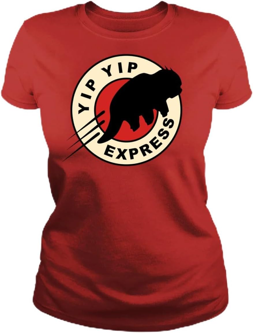 Yip Yip Women s T Shirt - Express Flying Sky Bison Shirt - Short Sleeve Crew Neck Soft Fitted Tees S разноцветный