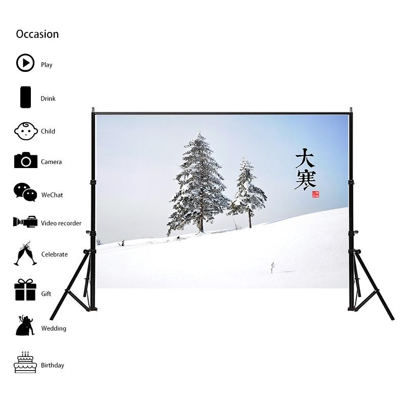 Winter Theme Snow Scene Background Nature Landscape Sky Snowflake Christmas Portrait Prop Party Decoration Banner