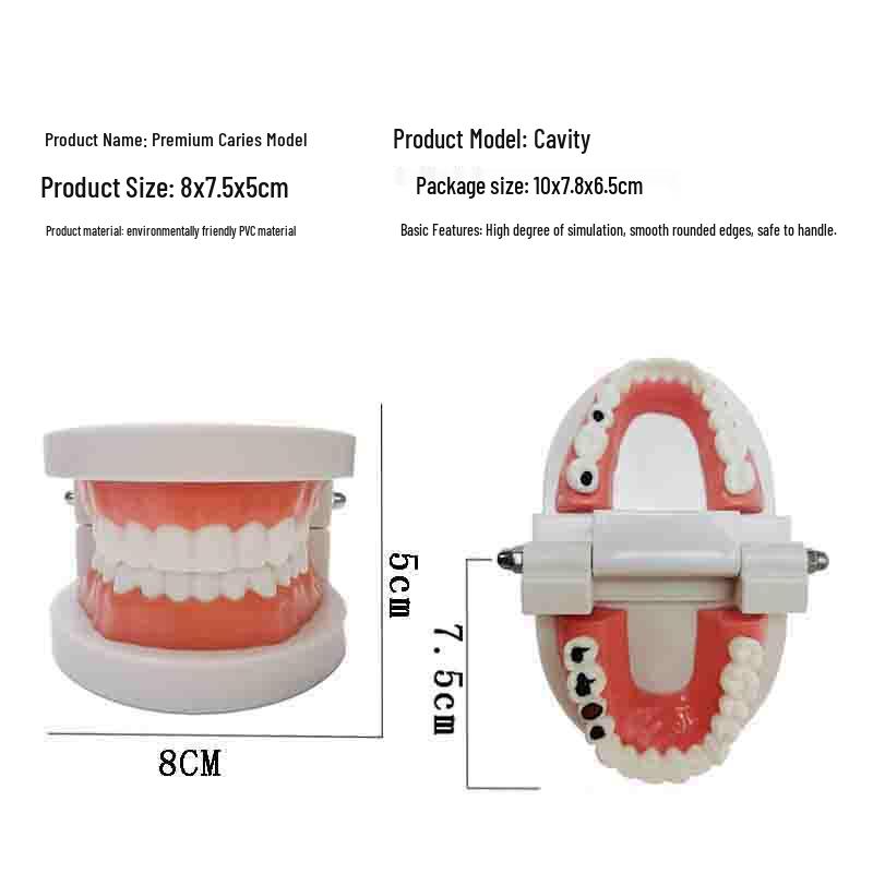 Dental Implant Teaching Model & Toothbrush Preparation Resin Mold