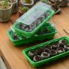 Gardenline Miniszklarnia Do Kiełkowania + 10 Krążków Torfowych Eda8556