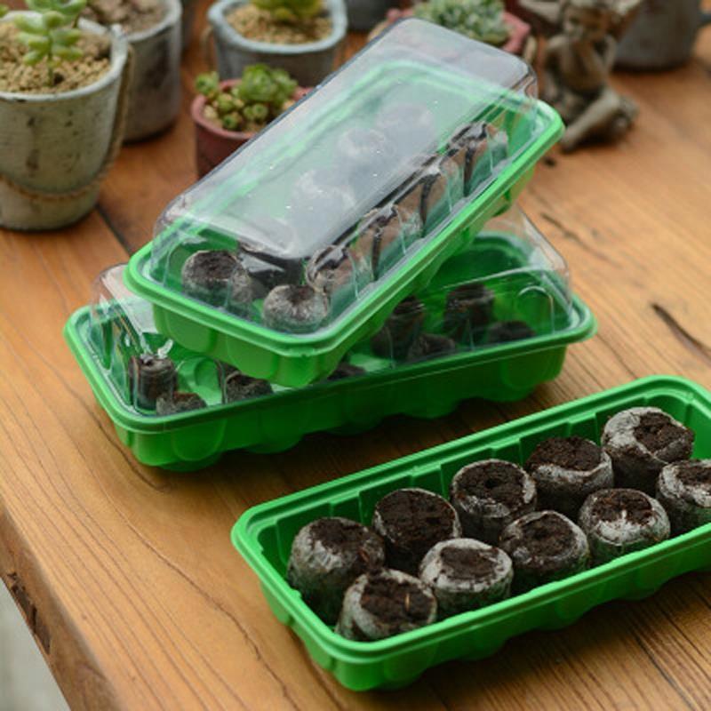 Gardenline Miniszklarnia Do Kiełkowania + 10 Krążków Torfowych Eda8556