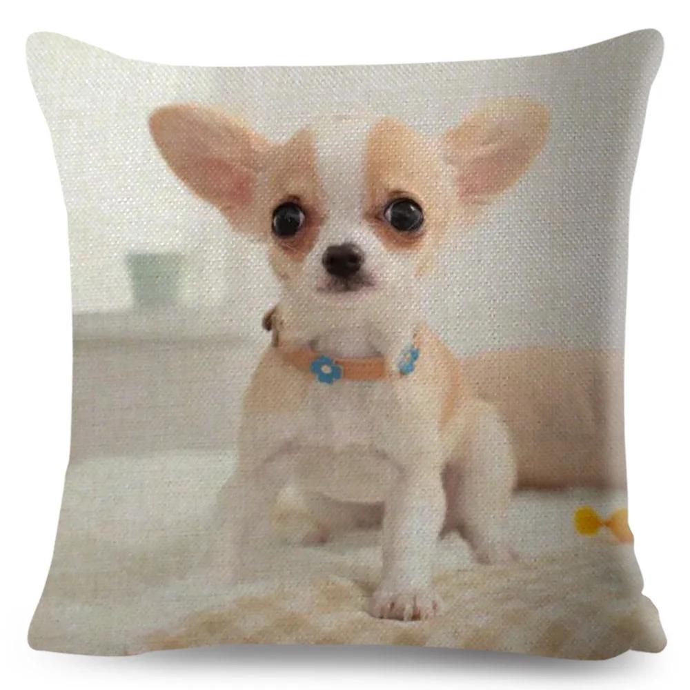 Niedlicher Kleiner Hund Chihuahua Kissenbezug Deko Liebes Haustier Tier Kissenbezug Polyester Überwurf Kissenbezug für Sofa Zuhause Auto 45x45cm