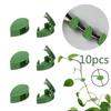 10Pcs Flower Vine Leaf Shaped Clips Self-Adhesive Fixed Buckle Buckle Leaf Clips  for Plant Climbing