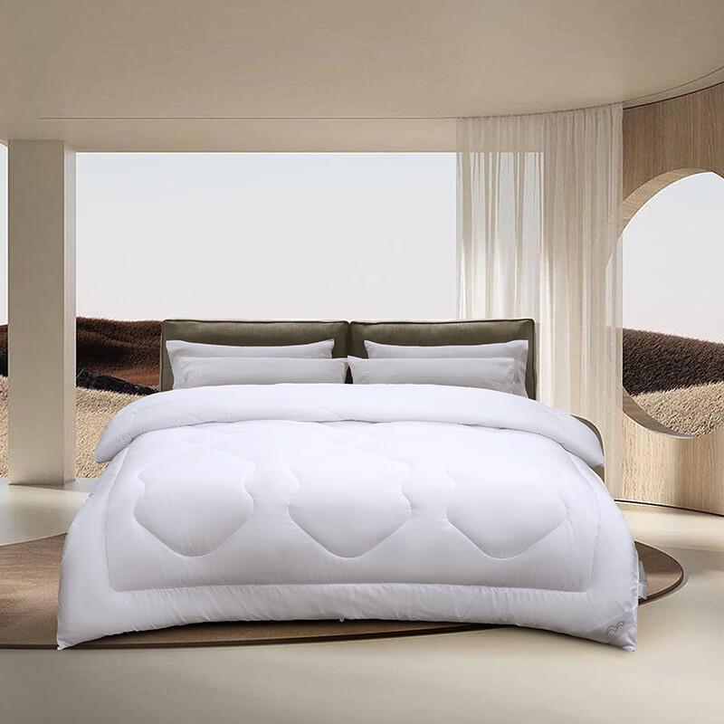 

Mercury Du Sang Antibacterial 7-Hole Fiber All-Season Duvet Insert