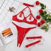 Sensual Tassel Lingerie Set Women See Through Halter Cut Out Sexy Bilizna Erotic Set Intimate Naked Back Open Brief Kit