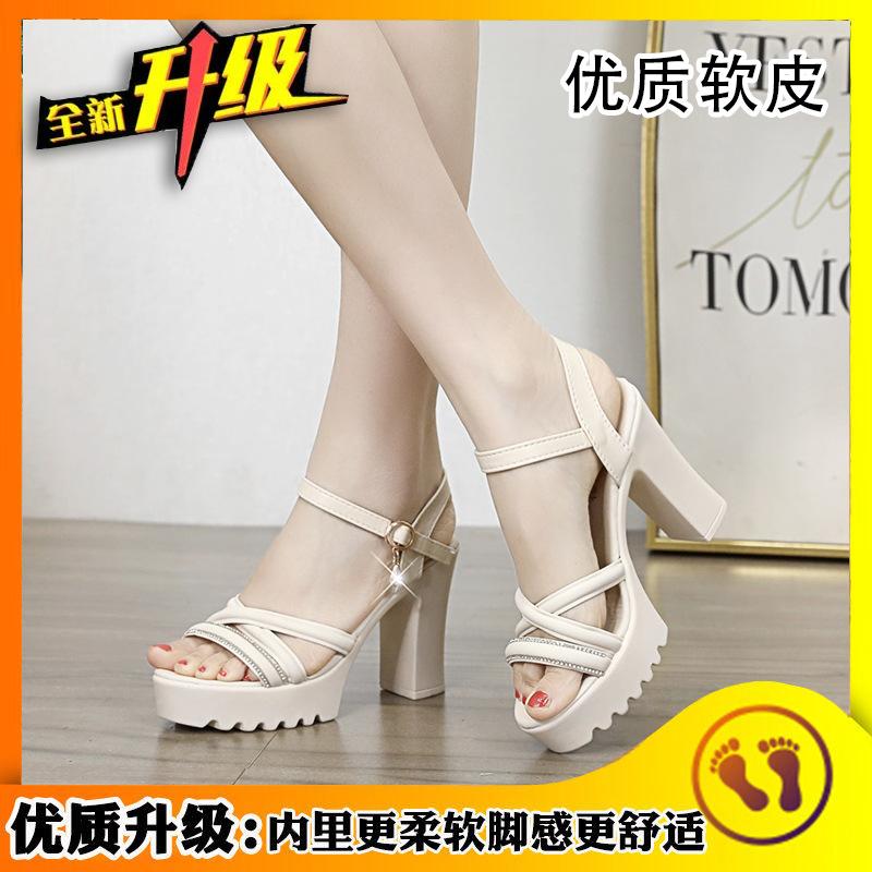 Exquisite Women's High Heel Sandals Summer Fashion Coarse Heel Soft Bottom Comfortable Sandals Casual Versatile Modern Sandals