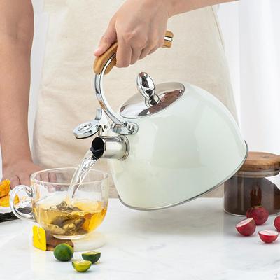 2.5L Stainless Steel Tea Kettle Induction Silver