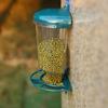Vogelhaus aus Kunststoff Transparent Große Kapazität Vogel Hängender Futterspender mit Saugnapf Bequeme Vogel Wasserschale Trinken