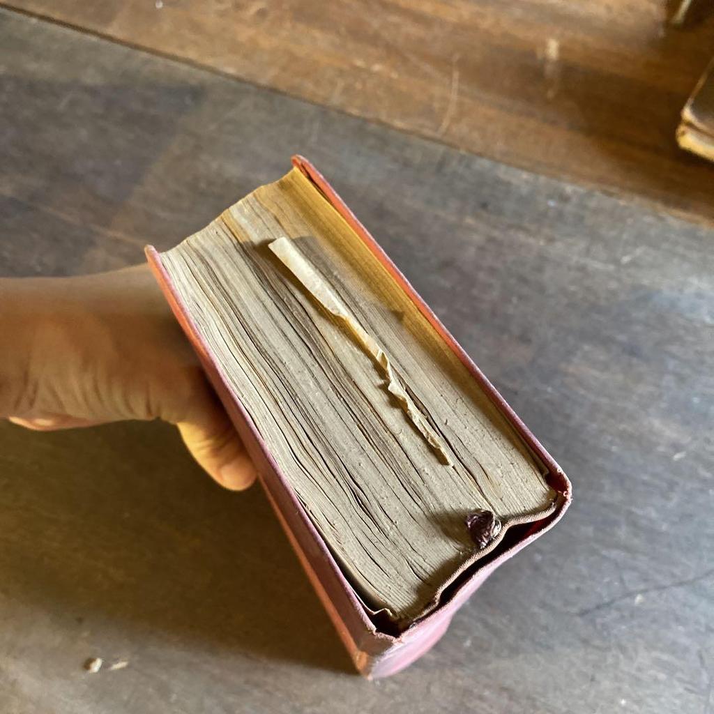 [USED] 1966 The New Official Guide Japan