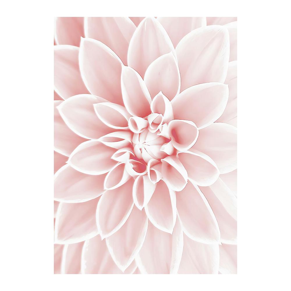 Scandinavian Pink Flower Cherry Blossom Rose Peony Nordic Posters And Prints Wall Art Canvas Painting Wall Pictures For Living Room