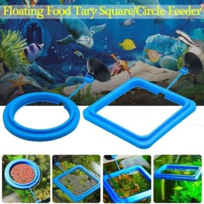 Fische & Meerestiere – Aquarienpflege