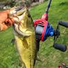 Fishing Rod and Baitcasting Reel Combo 4 Sections Lure Pole and Casting Fishing Wheel Freshwater Set