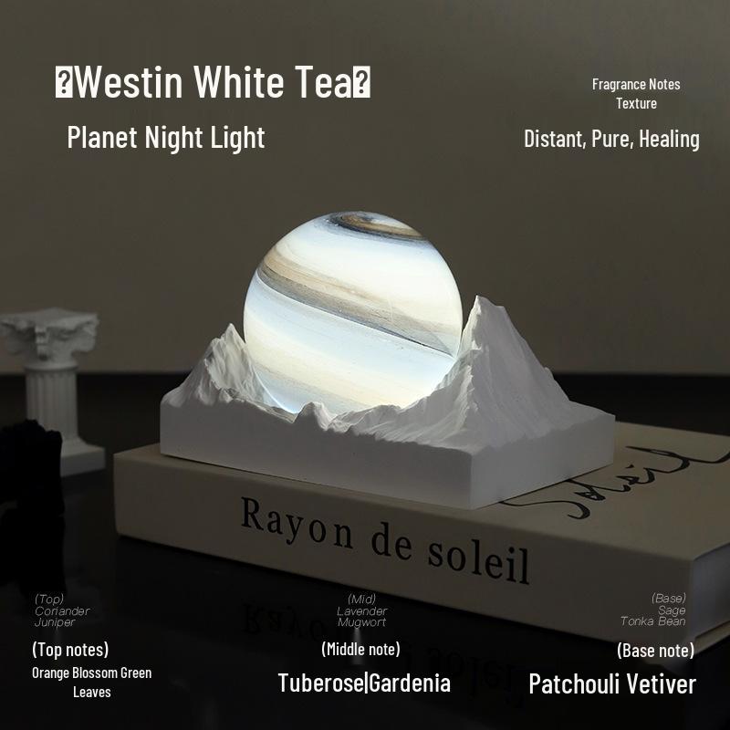 Moon Valley Aroma Diffuser: Elegant Bedroom Night Light & Fragrance Gift for Girls