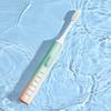MIGOO Soft Bristle Sonic Electric Toothbrush MX610 CN plug (adapter included)