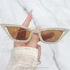 Special-shaped Cat-eye Fashion Sunglasses Niche Hip-hop Trendy Sunglasses For Men And Women 2154