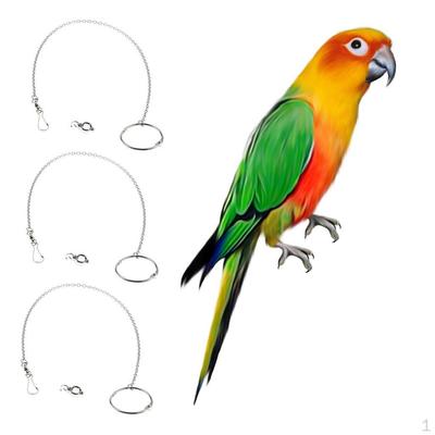 3x Parrot Stainless Steel