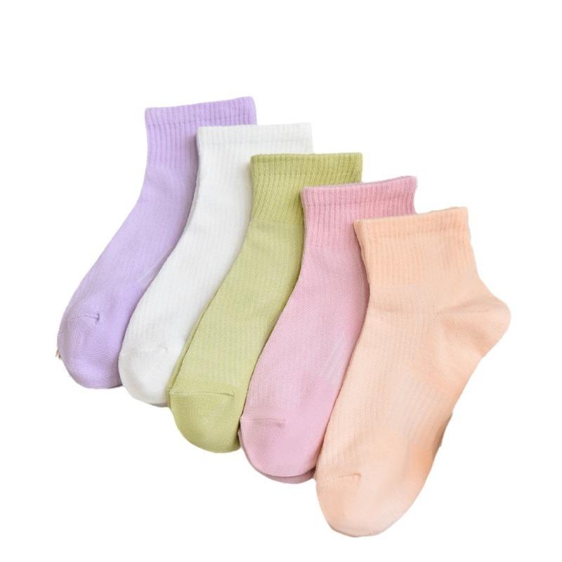 5 Pairs of Female Spring and Autumn Simple All Match Pure Color Mesh Breathable Tube Socks