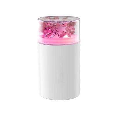 Mini humidificateur de voiture USB avec fleur préservée