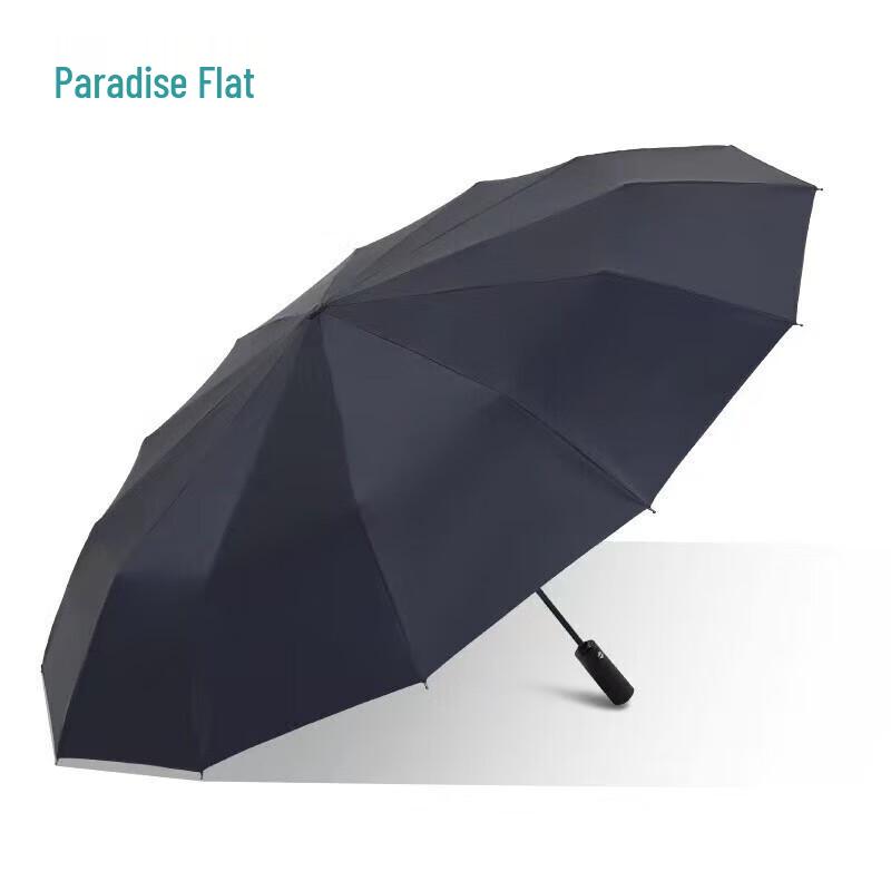 Heaven Fully Automatic 12-Rib Compact Umbrella