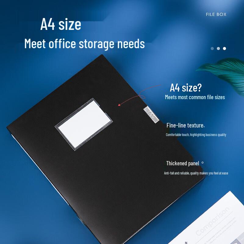 Deli 5604 PP Archival Box