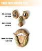 Tree Faces Decor Outdoor,Outdoor Statues Old Man Tree Hugger Bark Ghost Face Decoration Funny Yard Art,Tree Decorations